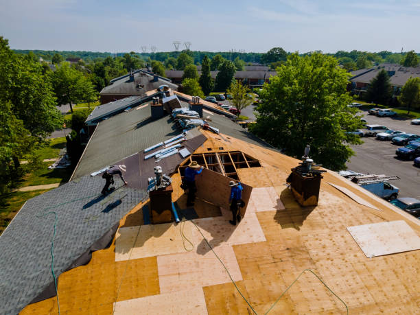 Trusted Roof Replacement service in Jacksonville, NC - Brentwood Metal Roofing